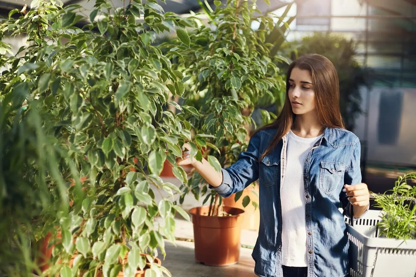 A young, successful female business owner tending to plants in her indoor garden shop.