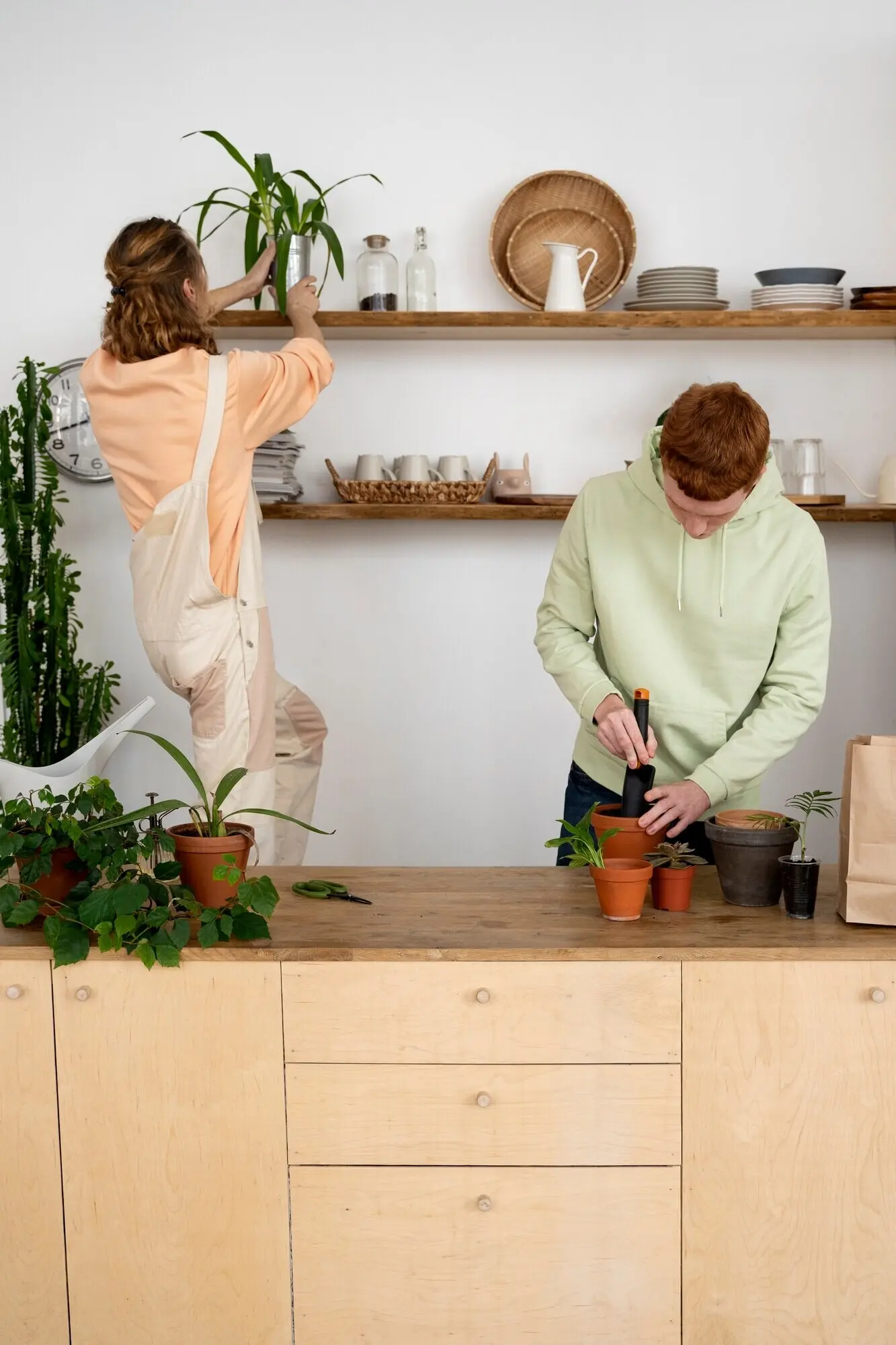 People repotting plants into new pots