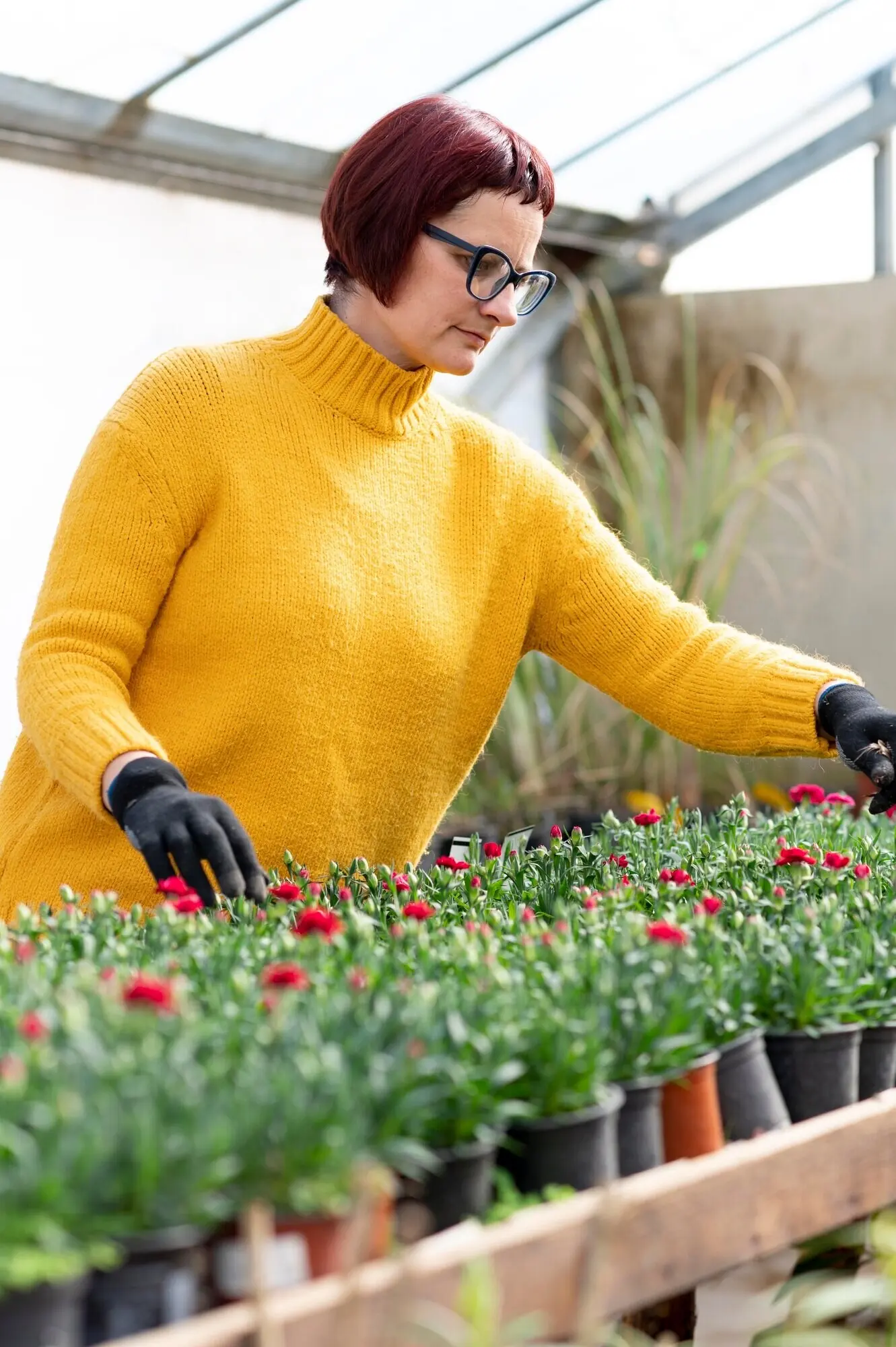 Woman cultivating plants