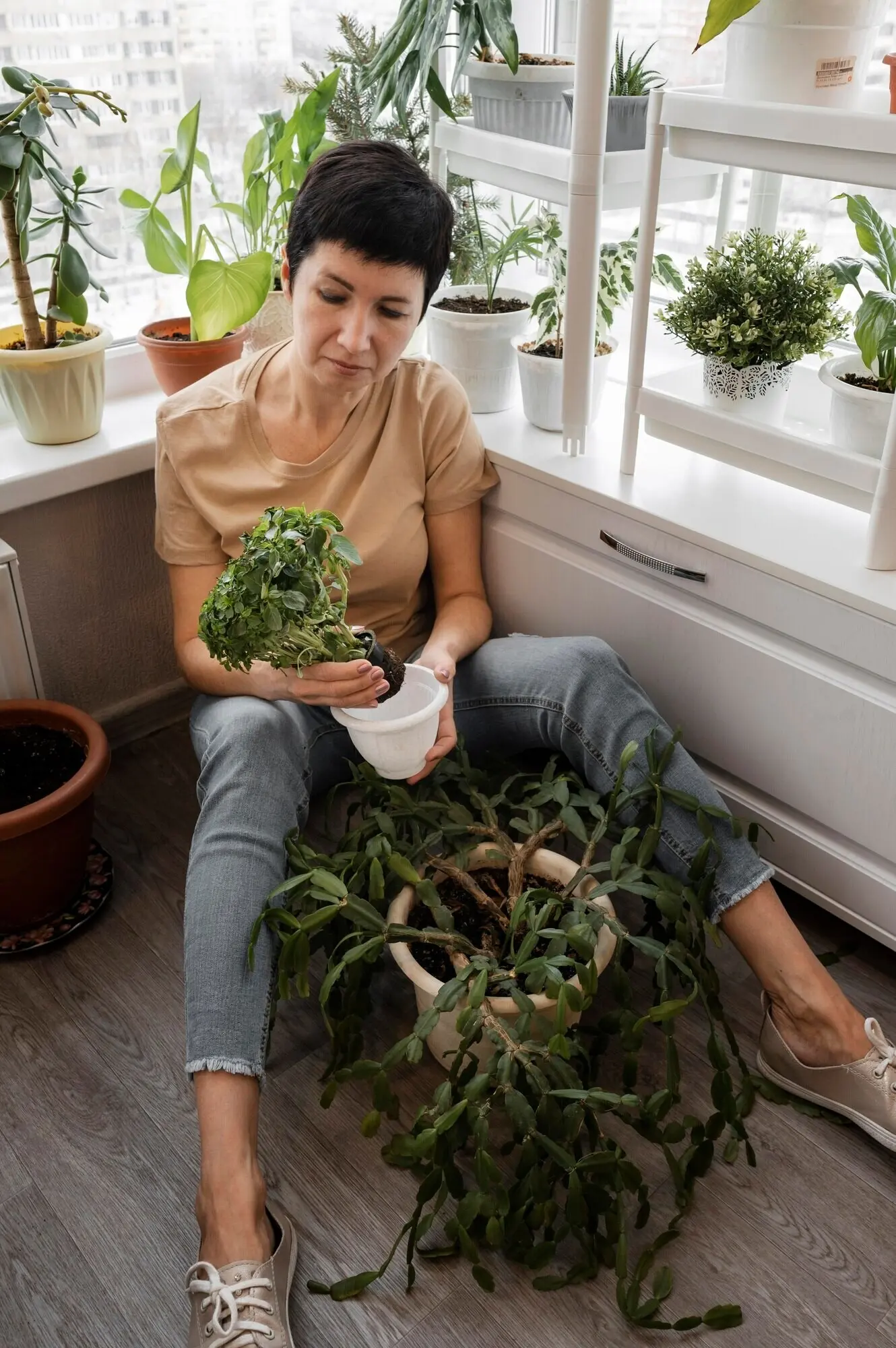 High-angle shot of a woman tending to indoor plants.
